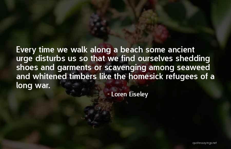 Walk Along Beach Quotes By Loren Eiseley