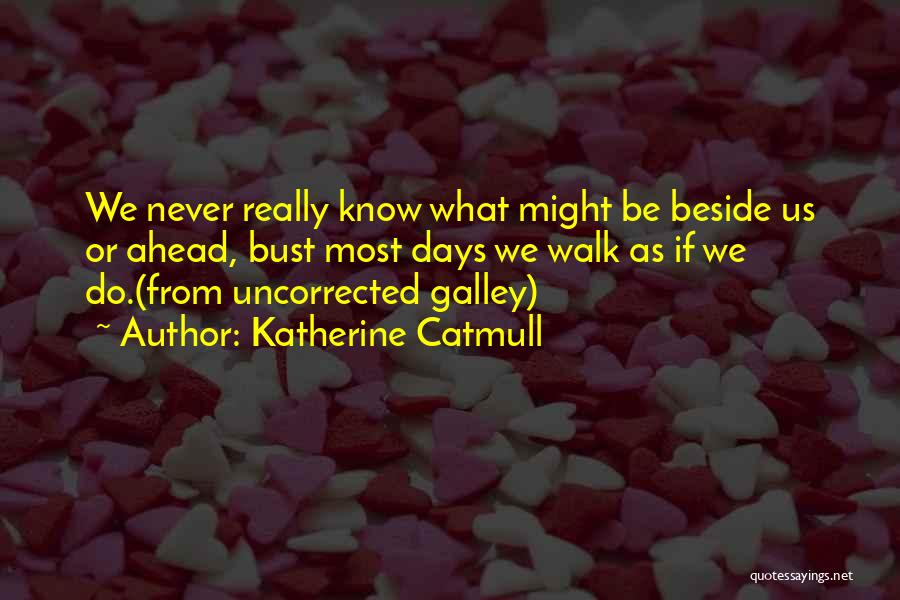 Walk Beside Quotes By Katherine Catmull