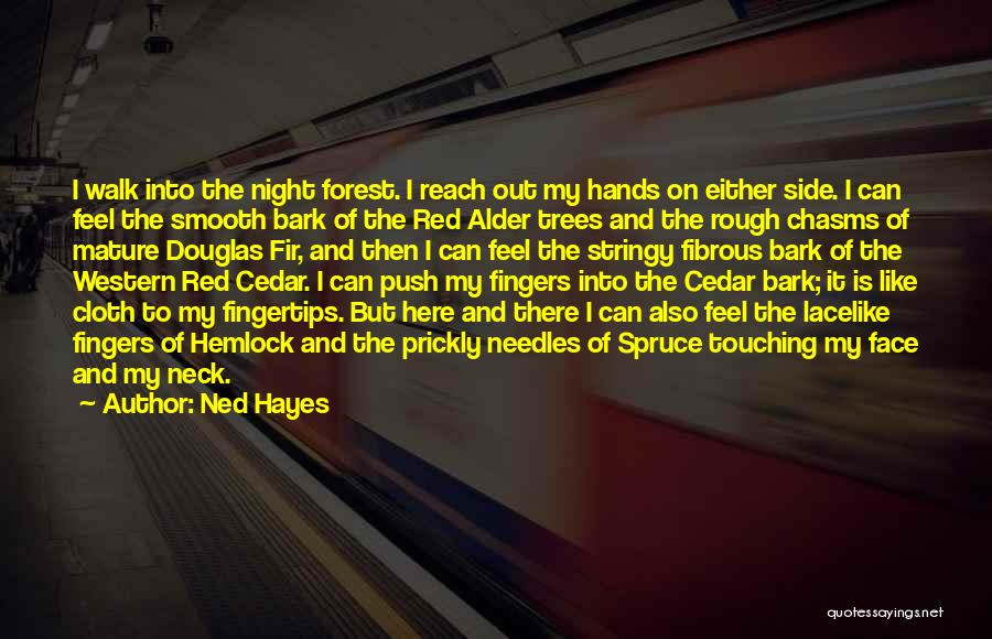 Walk By My Side Quotes By Ned Hayes