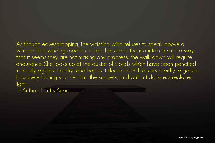Walk In The Clouds Quotes By Curtis Ackie