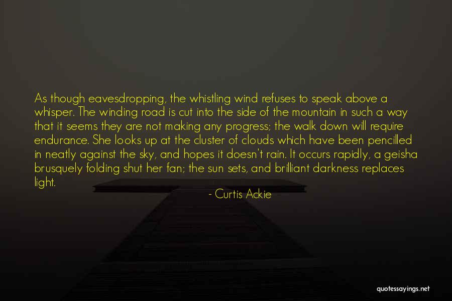 Walk In The Clouds Quotes By Curtis Ackie