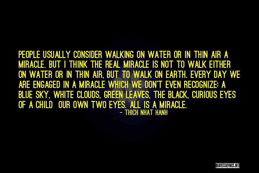 Walk In The Clouds Quotes By Thich Nhat Hanh