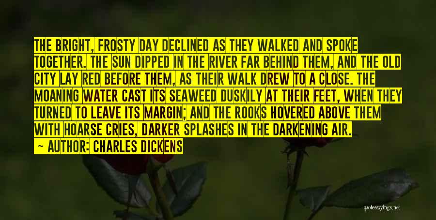 Walk In The Nature Quotes By Charles Dickens