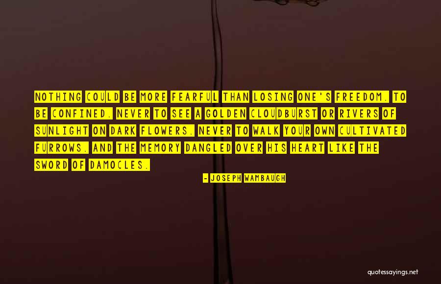 Walk Into Your Memory Quotes By Joseph Wambaugh Walk Into Your Memory Quotes By Joseph Wambaugh