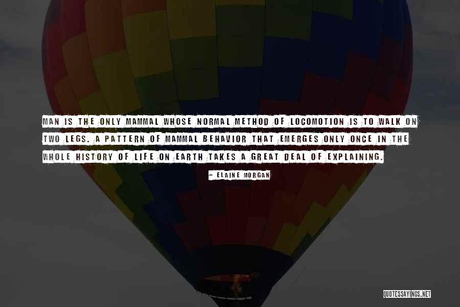 Walk Of Life Quotes By Elaine Morgan Walk Of Life Quotes By Elaine Morgan