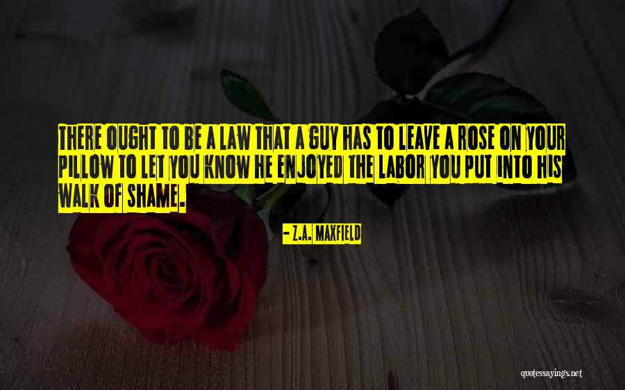 Walk Of Shame Quotes By Z.A. Maxfield Walk Of Shame Quotes By Z.A. Maxfield