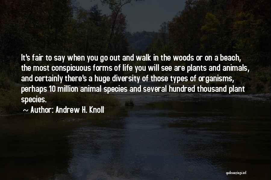 Walk On Beach Quotes By Andrew H. Knoll