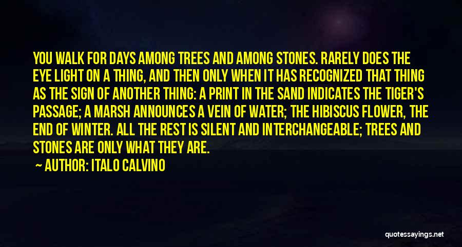 Walk On Sand Quotes By Italo Calvino Walk On Sand Quotes By Italo Calvino