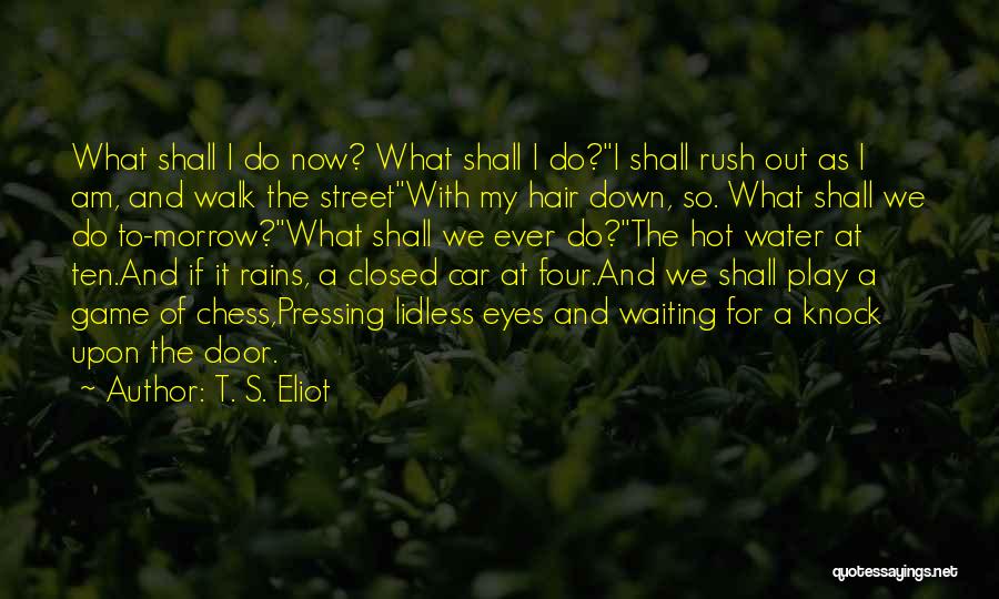 Walk Out The Door Quotes By T. S. Eliot