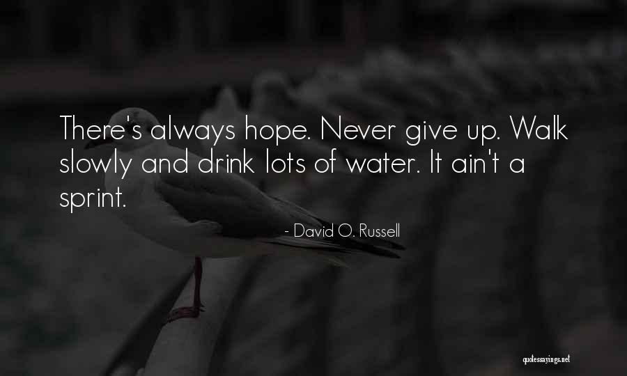 Walk Slowly Quotes By David O. Russell Walk Slowly Quotes By David O. Russell