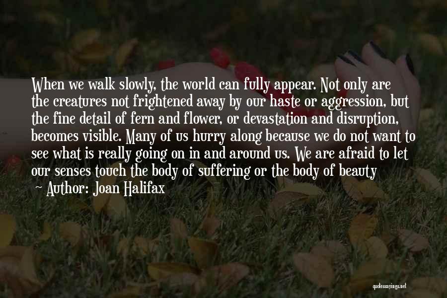 Walk Slowly Quotes By Joan Halifax