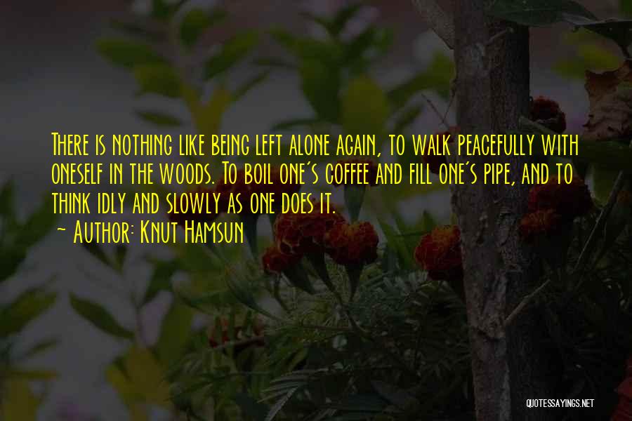 Walk Slowly Quotes By Knut Hamsun