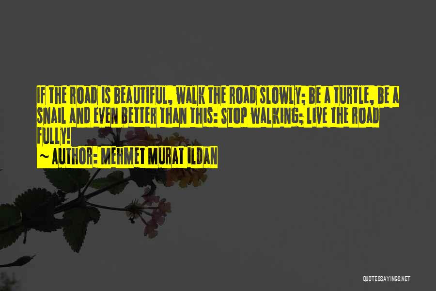Walk Slowly Quotes By Mehmet Murat Ildan