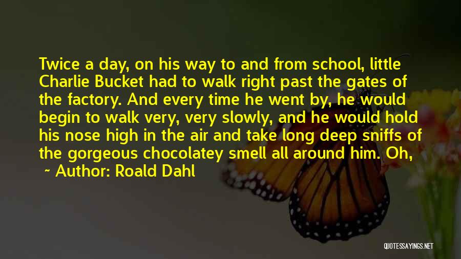 Walk Slowly Quotes By Roald Dahl