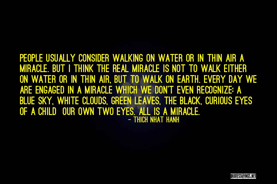 Walk The Earth Quotes By Thich Nhat Hanh Walk The Earth Quotes By Thich Nhat Hanh