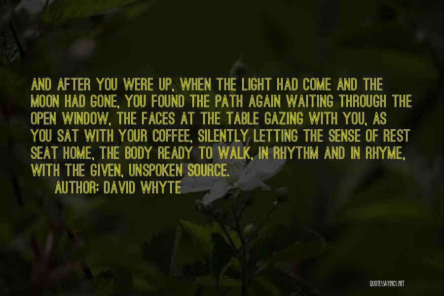 Walk The Moon Quotes By David Whyte
