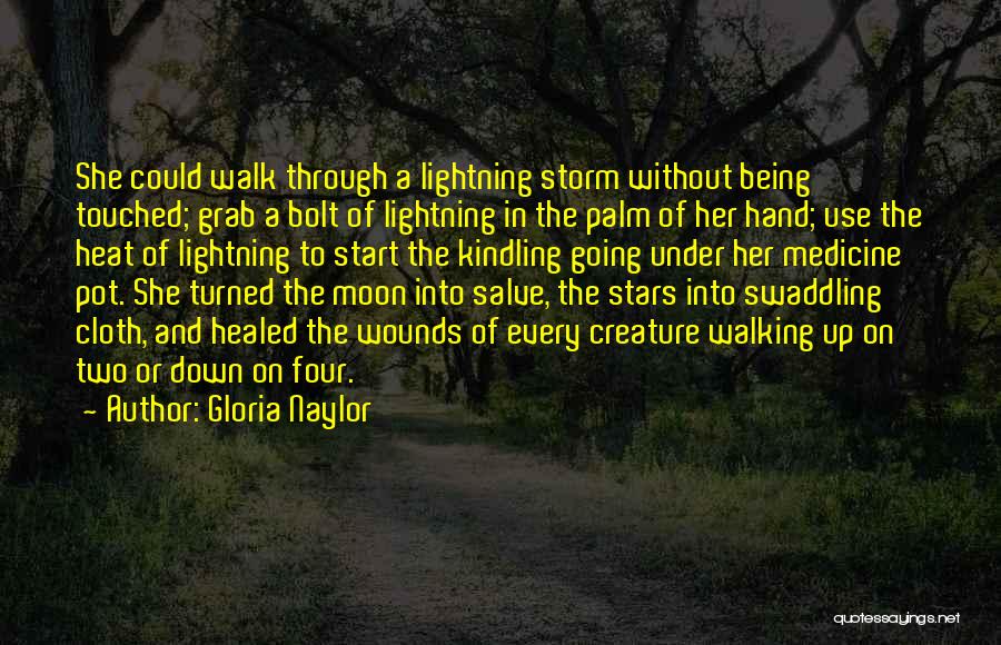 Walk The Moon Quotes By Gloria Naylor