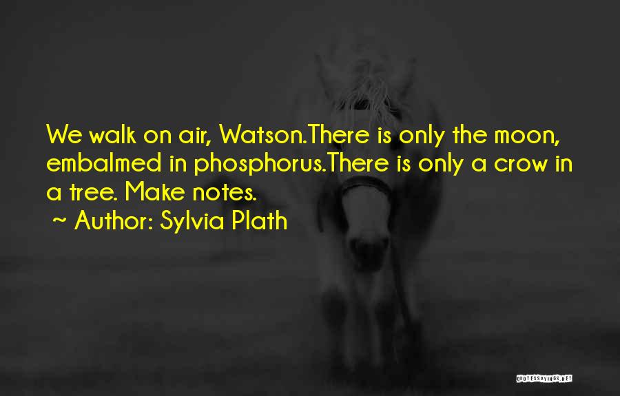 Walk The Moon Quotes By Sylvia Plath