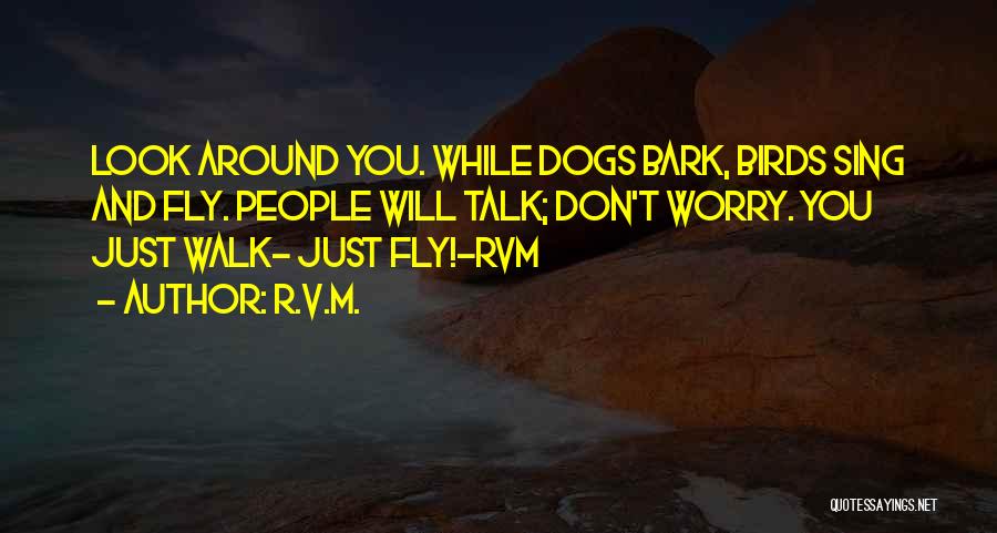 Walk The Talk Motivational Quotes By R.v.m.