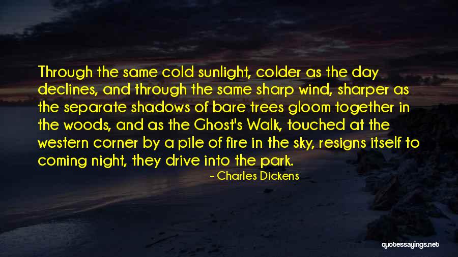Walk Through The Fire Quotes By Charles Dickens Walk Through The Fire Quotes By Charles Dickens