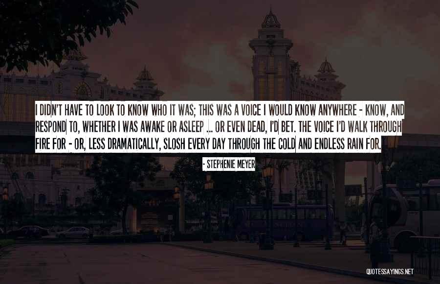 Walk Through The Fire Quotes By Stephenie Meyer Walk Through The Fire Quotes By Stephenie Meyer