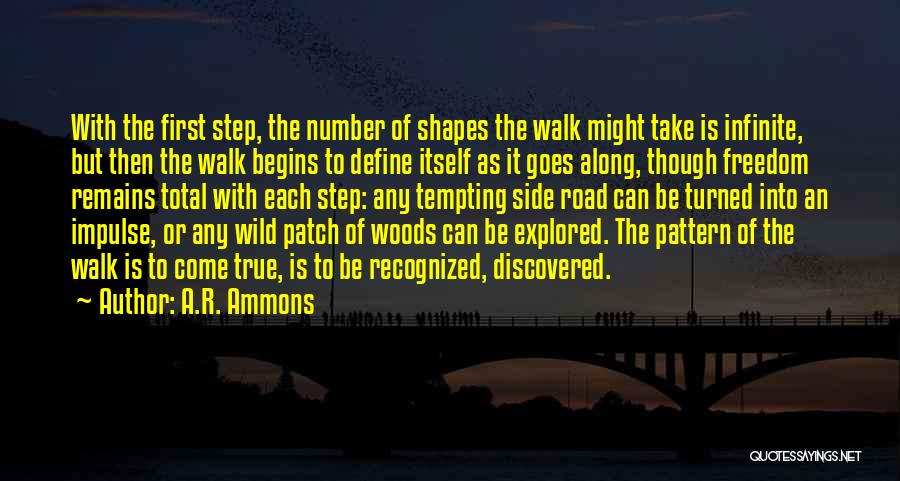 Walk To Freedom Quotes By A.R. Ammons