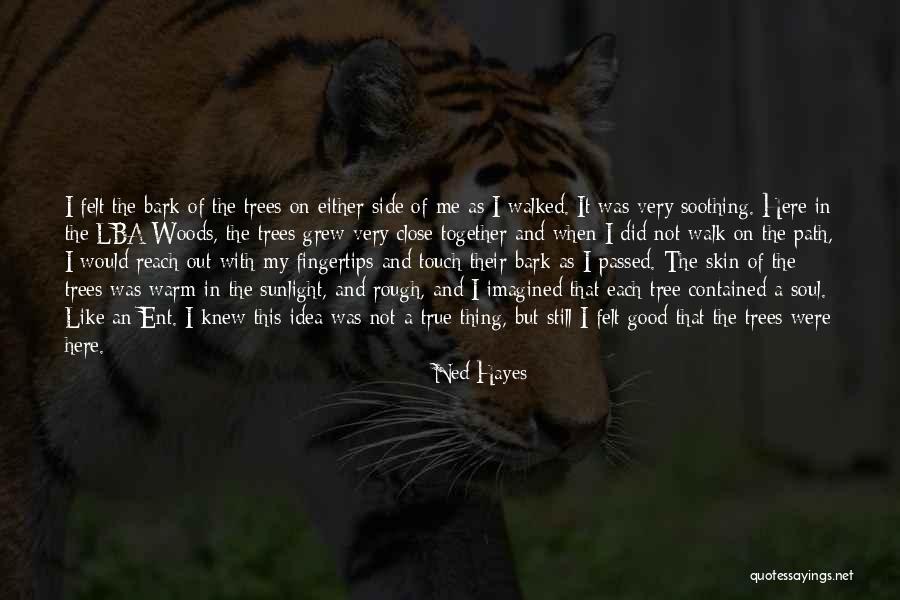 Walk Together Quotes By Ned Hayes Walk Together Quotes By Ned Hayes
