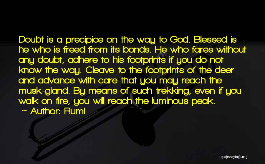 Walk With God Quotes By Rumi
