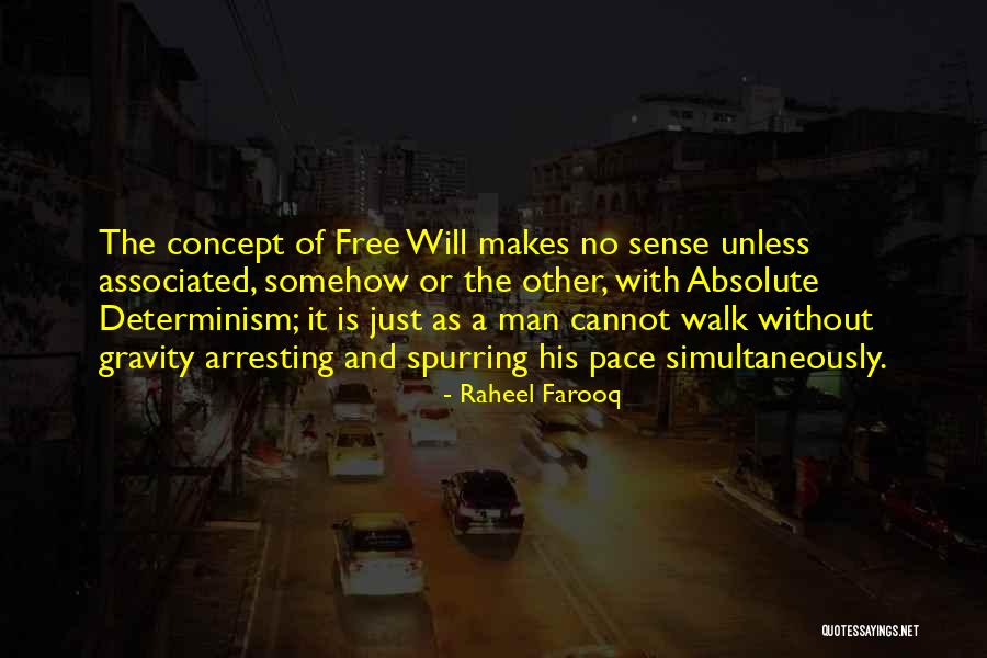 Walk With Your Own Pace Quotes By Raheel Farooq Walk With Your Own Pace Quotes By Raheel Farooq