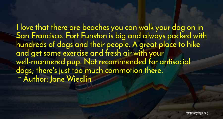 Walk Your Dog Quotes By Jane Wiedlin