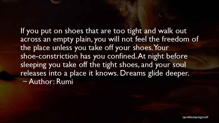 Walk Your Shoes Quotes By Rumi