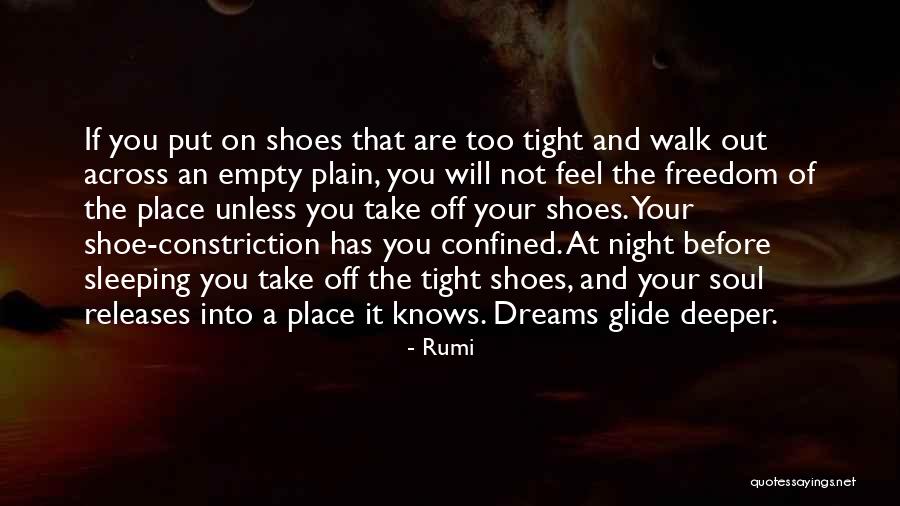 Walk Your Shoes Quotes By Rumi