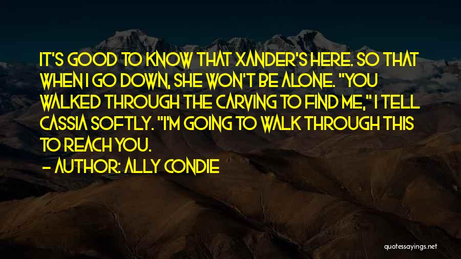 Walked Alone Quotes By Ally Condie