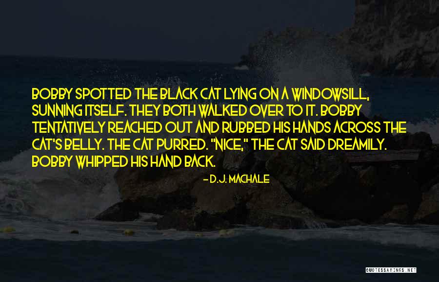 Walked On Quotes By D.J. MacHale Walked On Quotes By D.J. MacHale
