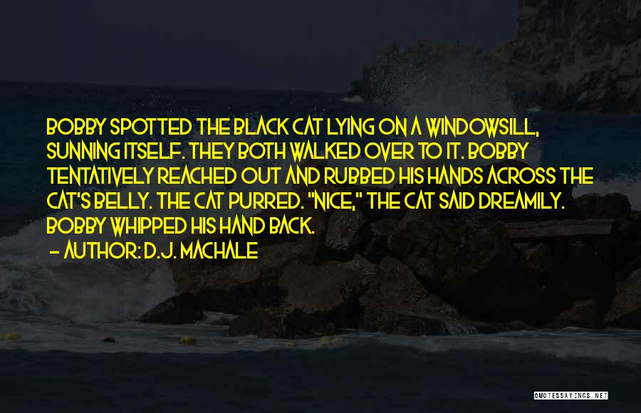 Walked Out Quotes By D.J. MacHale