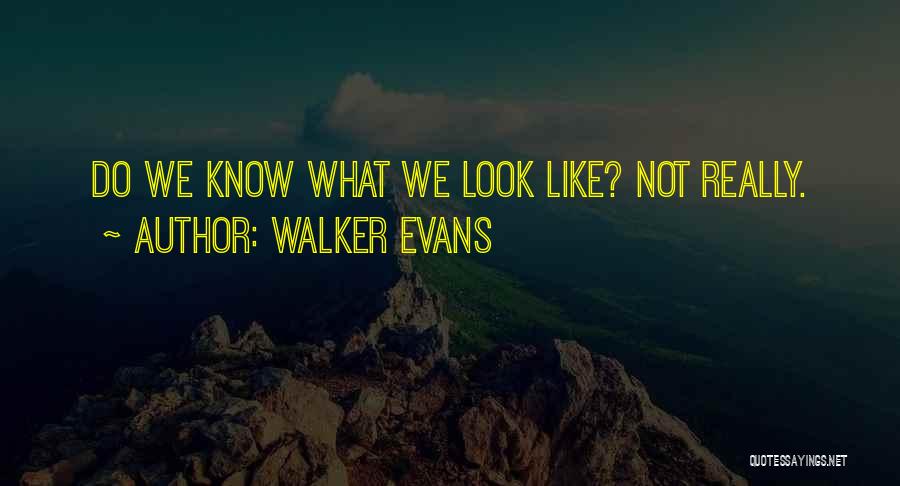 Walker Evans Quotes 1109508