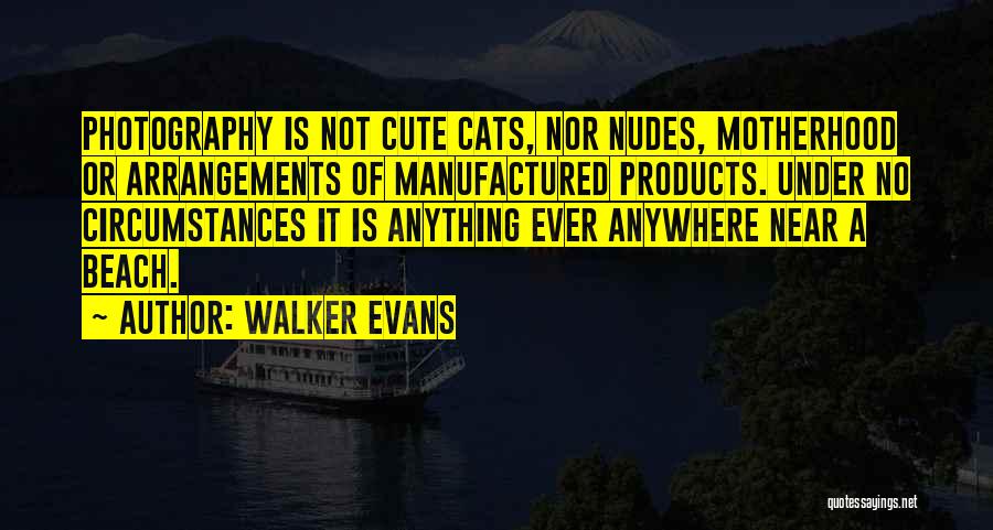 Walker Evans Quotes 1243402