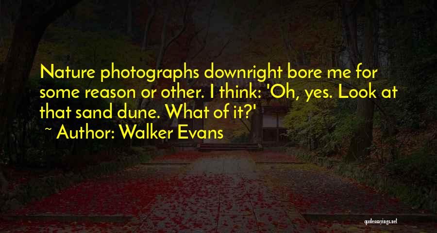 Walker Evans Quotes 1793320