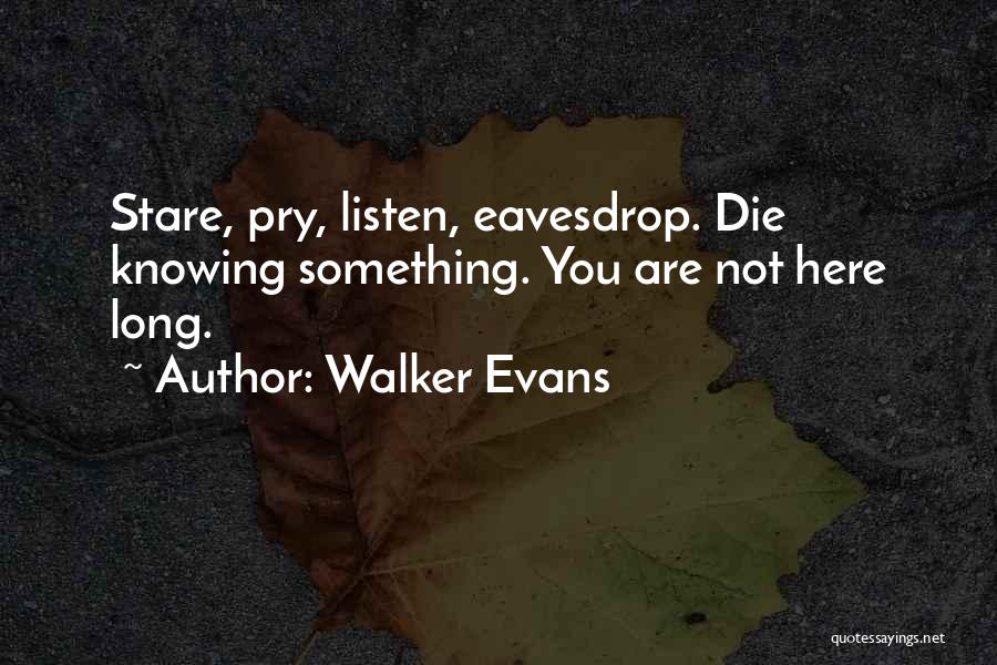 Walker Evans Quotes 2231729