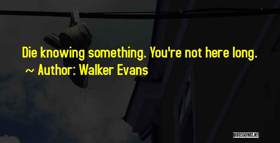 Walker Evans Quotes 337240
