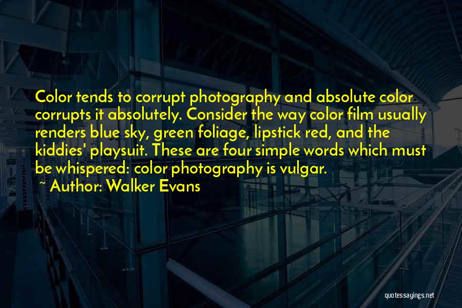 Walker Evans Quotes 480512