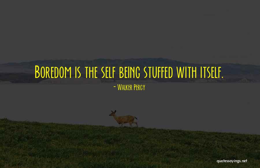 Walker Percy Quotes 1289577 Walker Percy Quotes 1289577