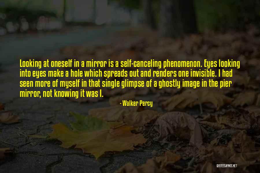 Walker Percy Quotes 560931 Walker Percy Quotes 560931