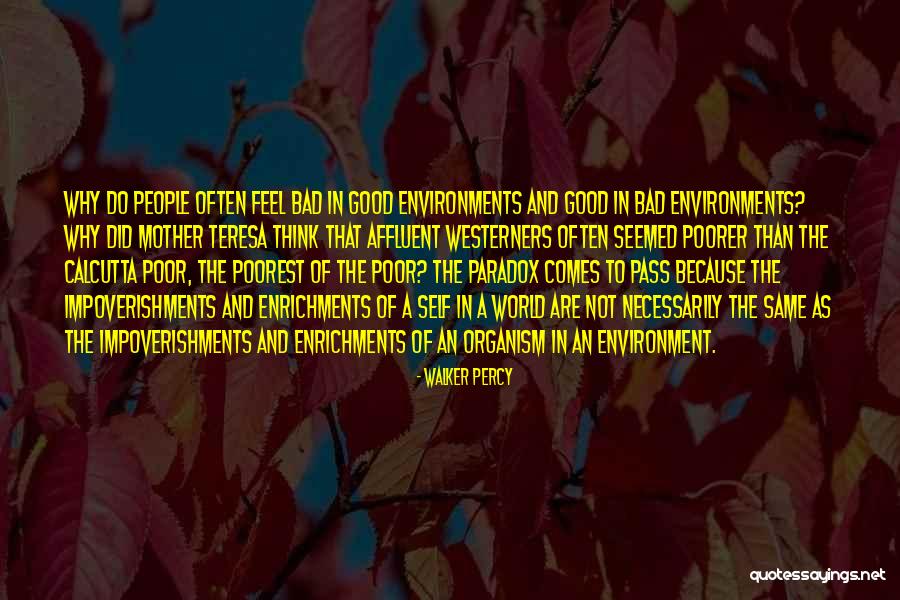 Walker Percy Quotes 713863 Walker Percy Quotes 713863
