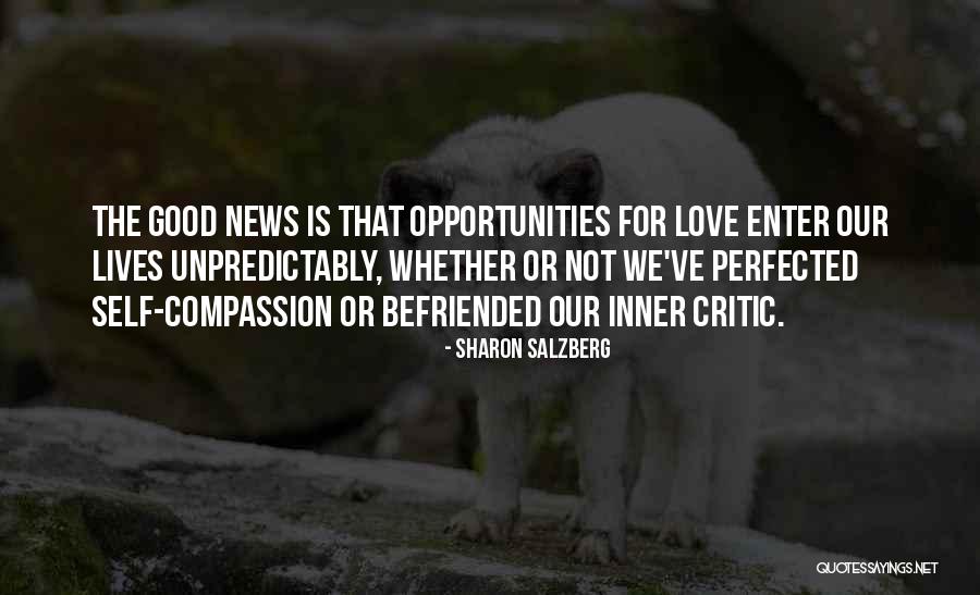 Walking 13 Quotes By Sharon Salzberg Walking 13 Quotes By Sharon Salzberg