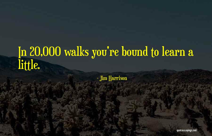 Walking 20 Quotes By Jim Harrison Walking 20 Quotes By Jim Harrison