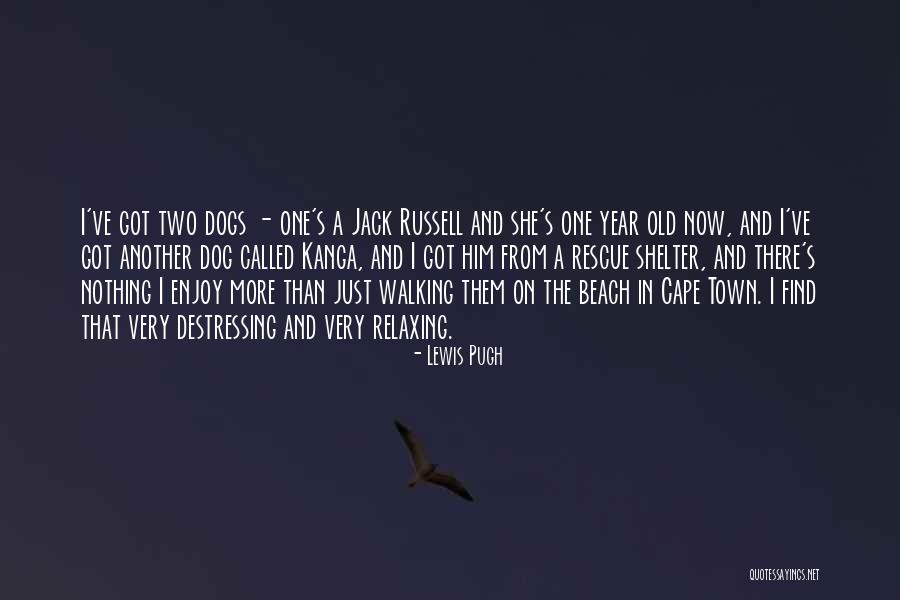 Walking A Dog Quotes By Lewis Pugh Walking A Dog Quotes By Lewis Pugh