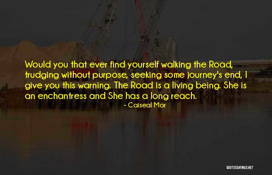 Walking A Road Quotes By Caiseal Mor