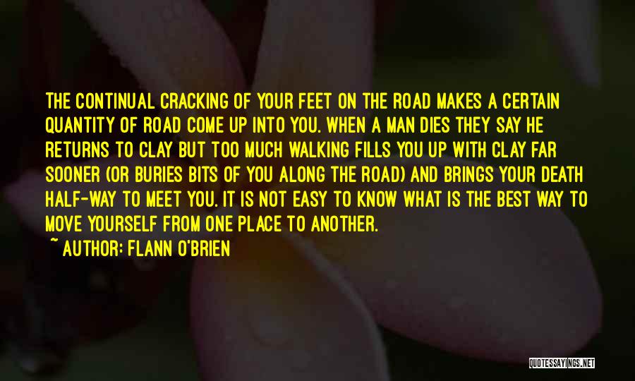 Walking A Road Quotes By Flann O'Brien