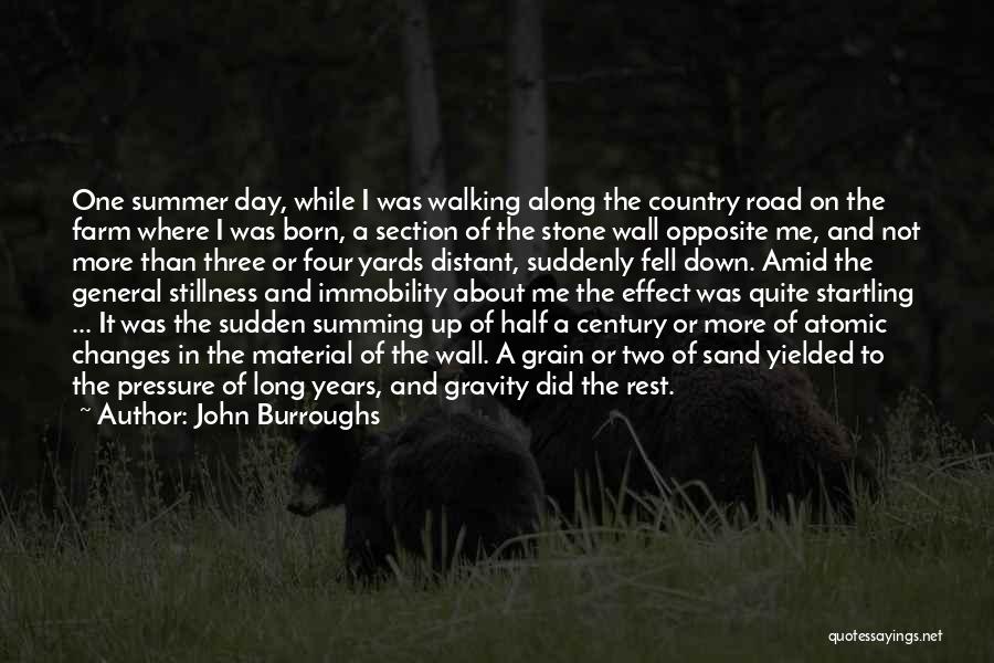 Walking A Road Quotes By John Burroughs